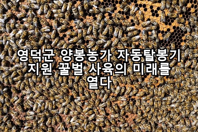 영덕군 양봉농가 자동탈봉기 지원 꿀벌 사육의 미래를 열다