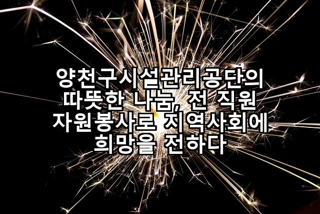 양천구시설관리공단의 따뜻한 나눔, 전 직원 자원봉사로 지역사회에 희망을 전하다